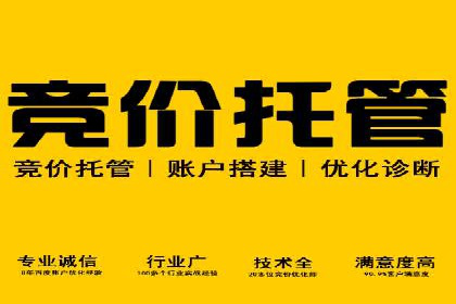 传统企业转型中的SEM运营托管策略